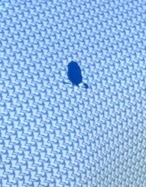 "Louisiana" Blue Golf Polo