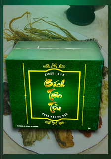 Rượu Bách Tiên Tửu - Thùng 6 Chai Nhựa 1L ( 6Lit)