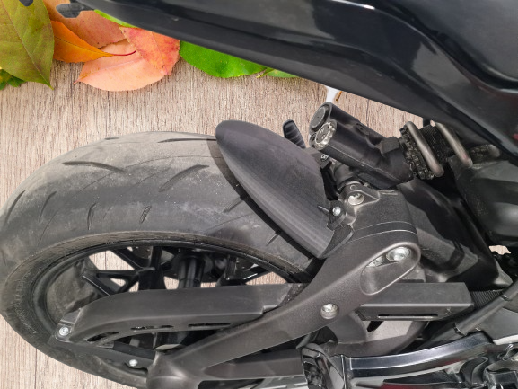 H-D Livewire shorty rear fender Set