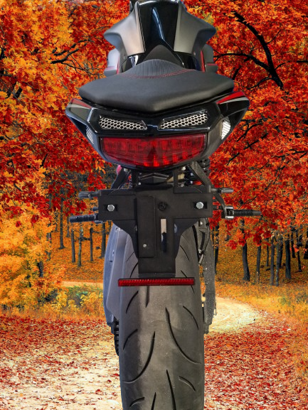 Kennzeichenhalter Ersetzung Energica