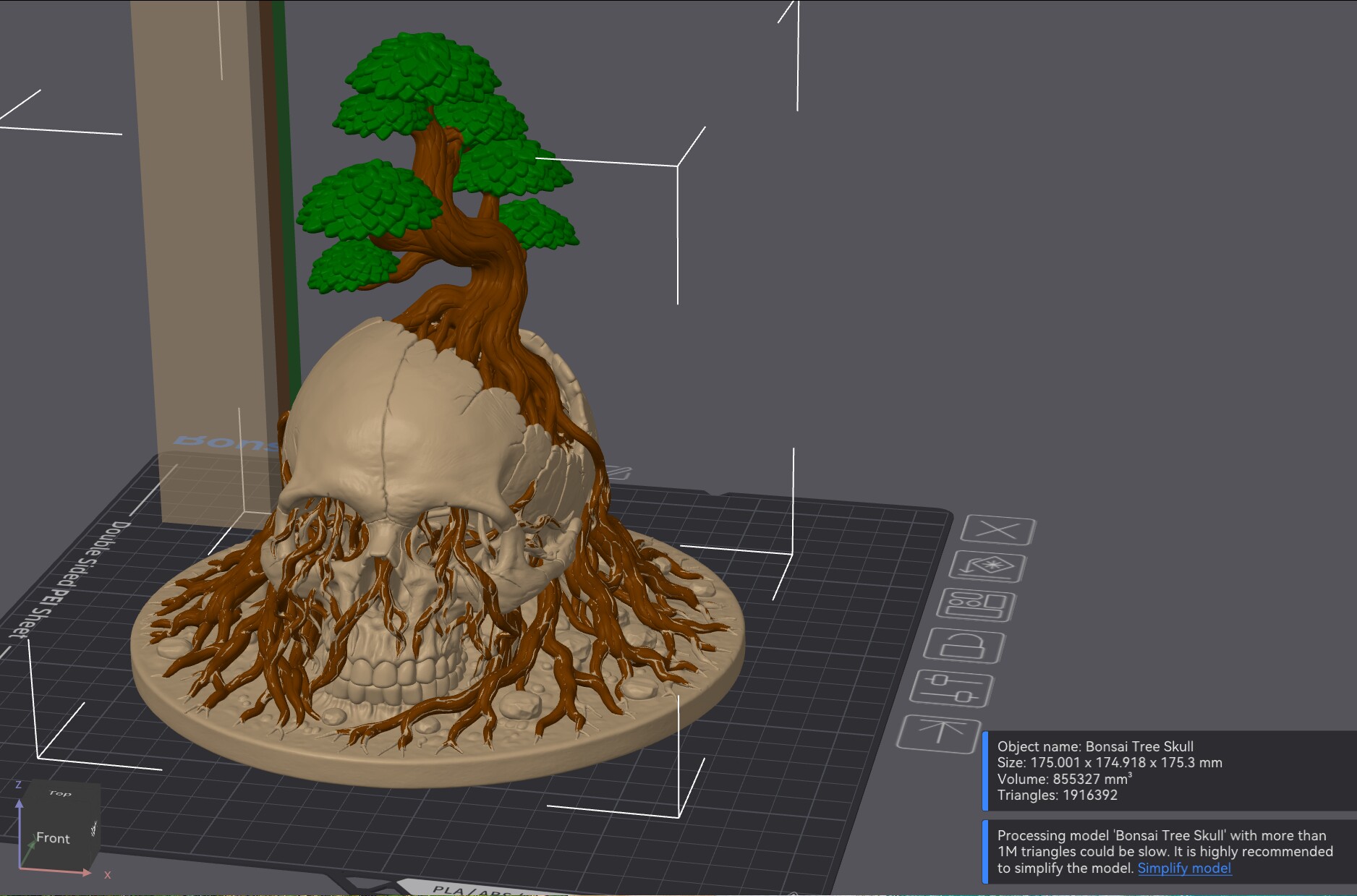 Bonsai Tree Skull