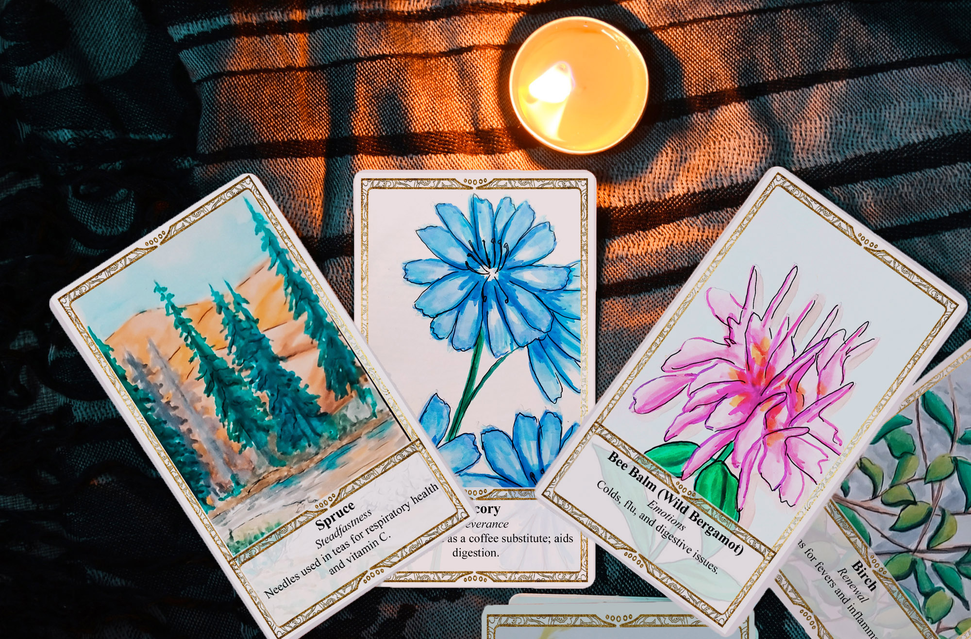 Wildflowers of the West - Oracle Deck