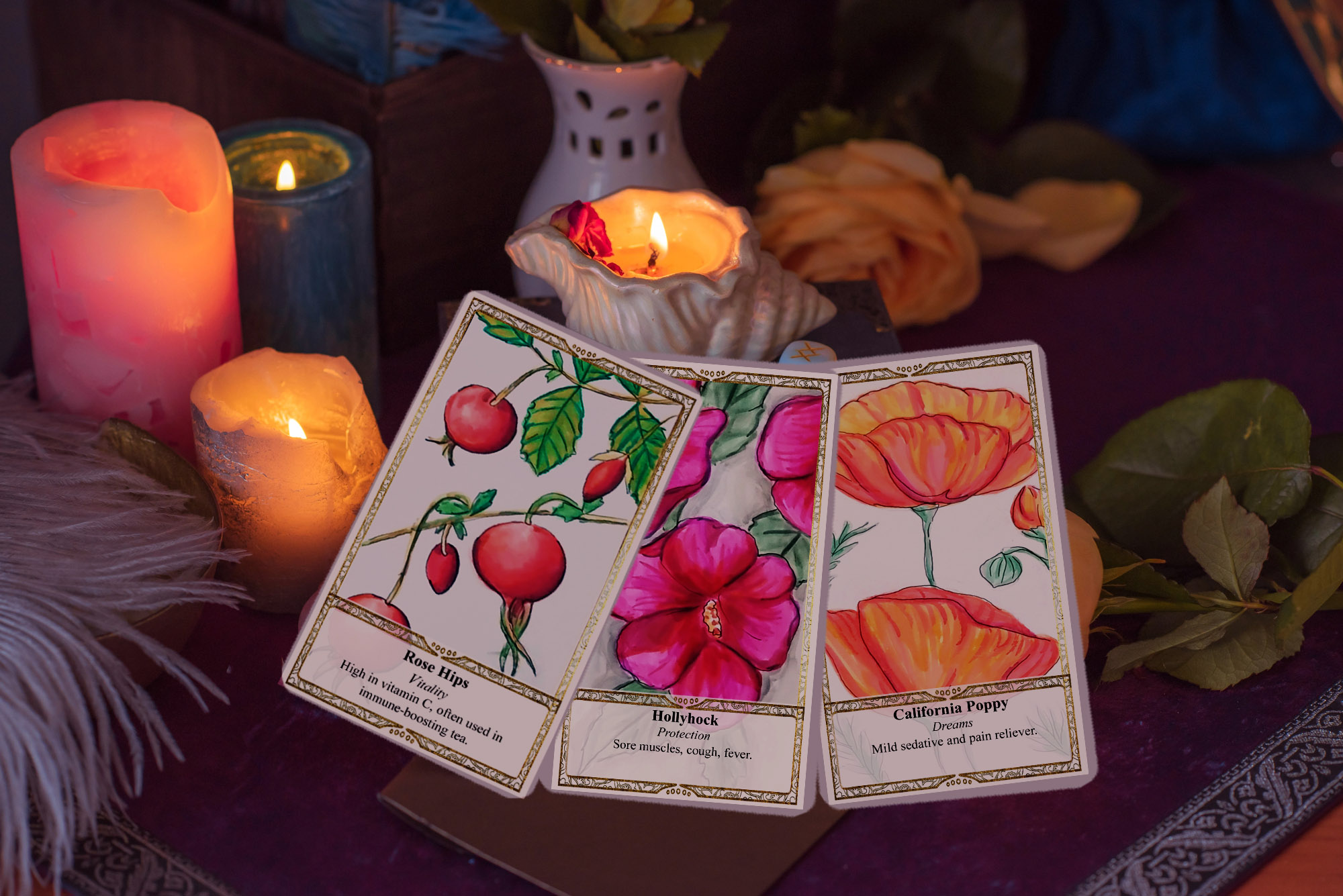 Wildflowers of the West - Oracle Deck