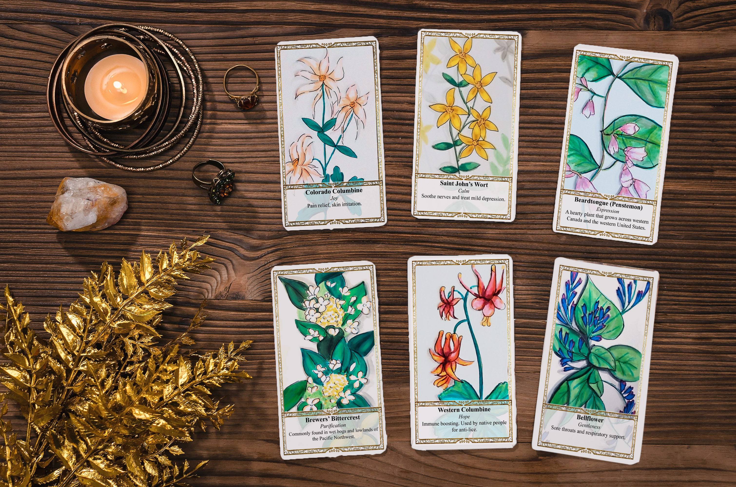 Wildflowers of the West - Oracle Deck