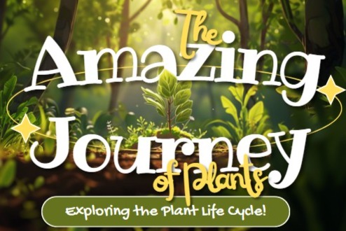 Digital products: Kids Ebooks (Canva links)