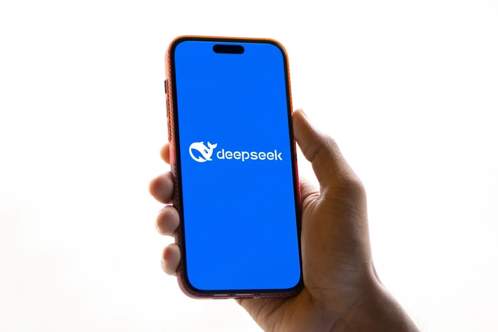 DeepSeek mini course