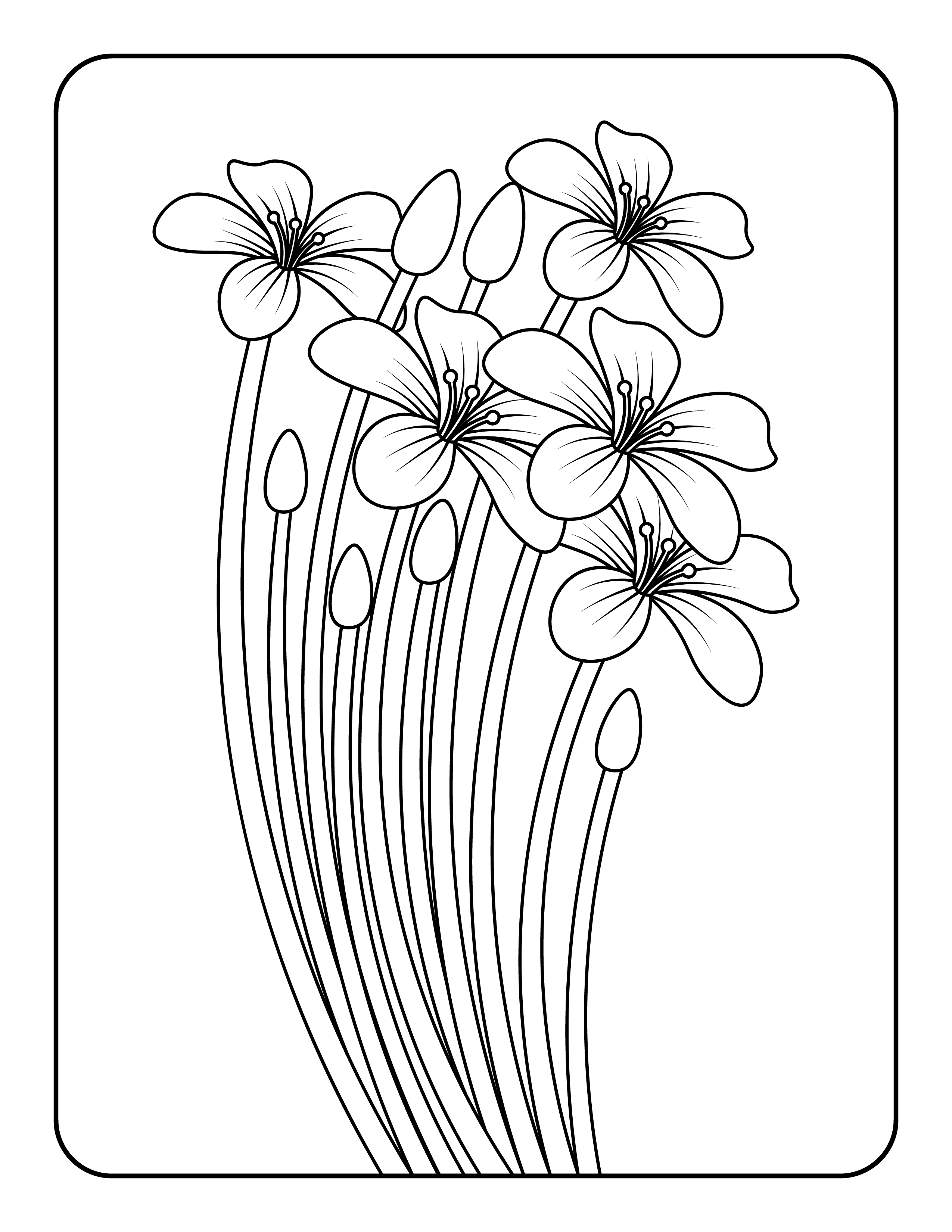 Digital products: Easter coloring pages