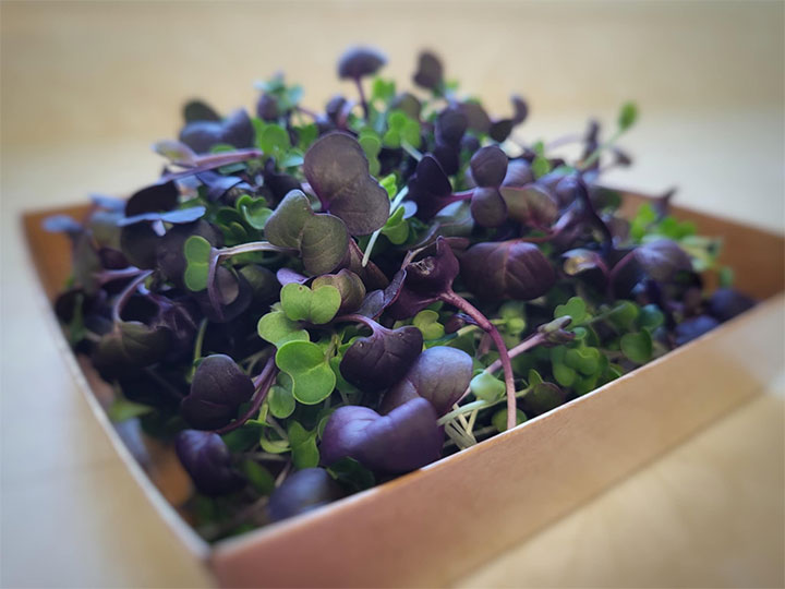 Superfood Mix