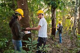 [25/11/2025] Engenharia Florestal - 4º Período (07:20 - 08:10)