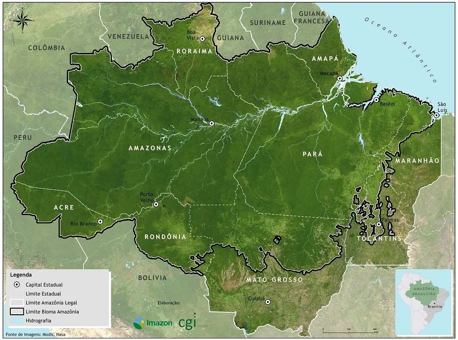 20 kg Freez Dried Açaí Powder