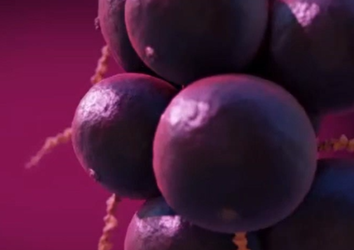 20 kg Freez Dried Açaí Powder