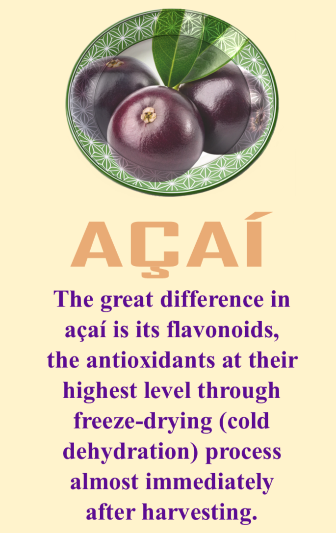 20 kg Freez Dried Açaí Powder