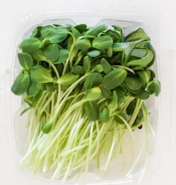 Broccoli Microgreens 1.5 oz