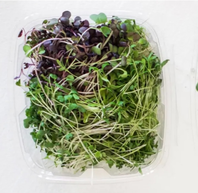 Salad Variety Microgreens 8 oz