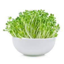Arugula Microgreens 8 oz