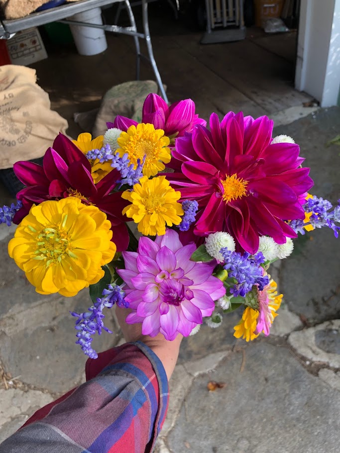 Monthly Farm Bouquets~ $17/bouquet