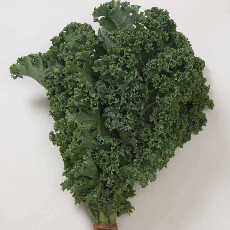 Curly kale- 6-pack