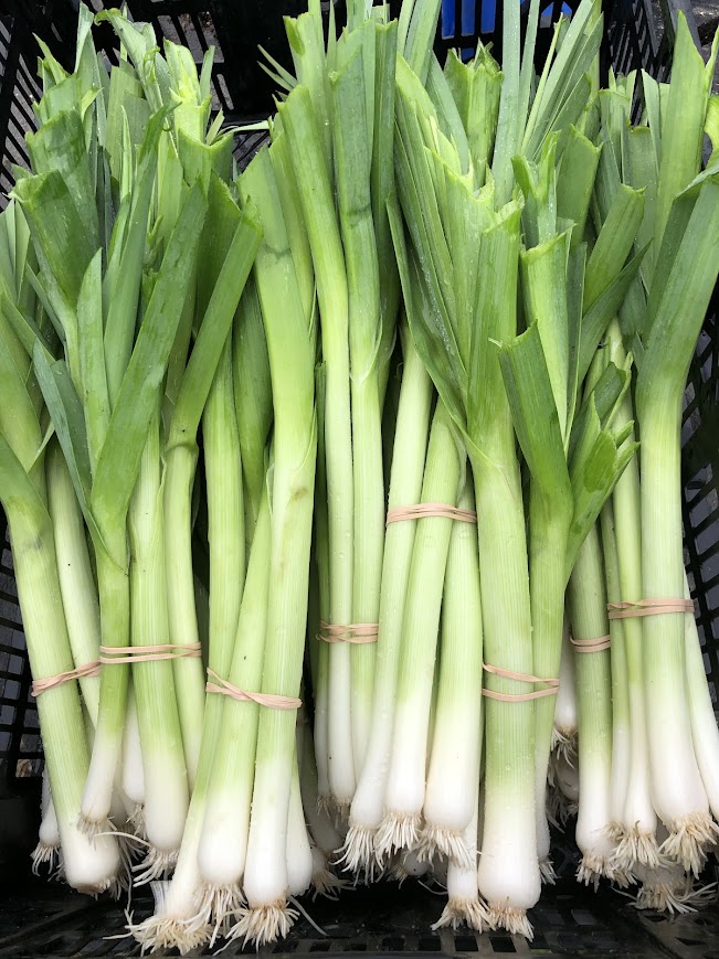 Leeks 6-pack
