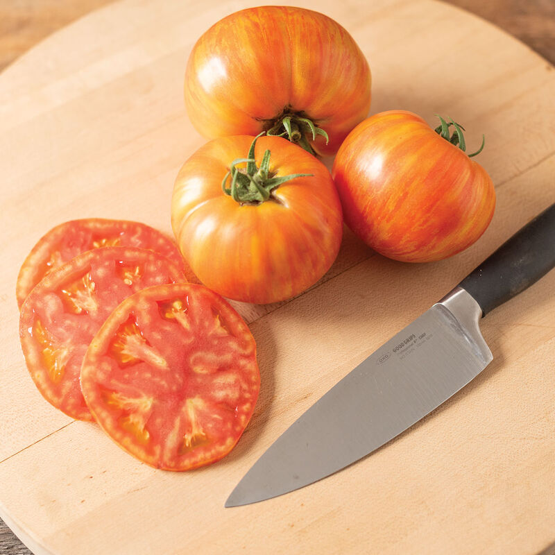 Hot Streak- Yellow and red striped tomato 6-pack