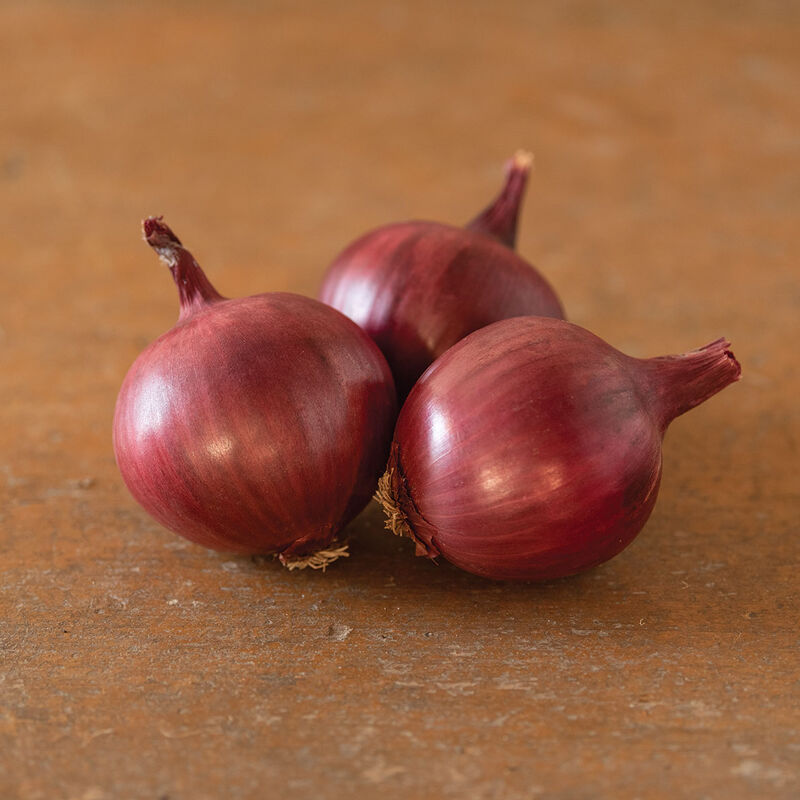 red storage onions 6-pack