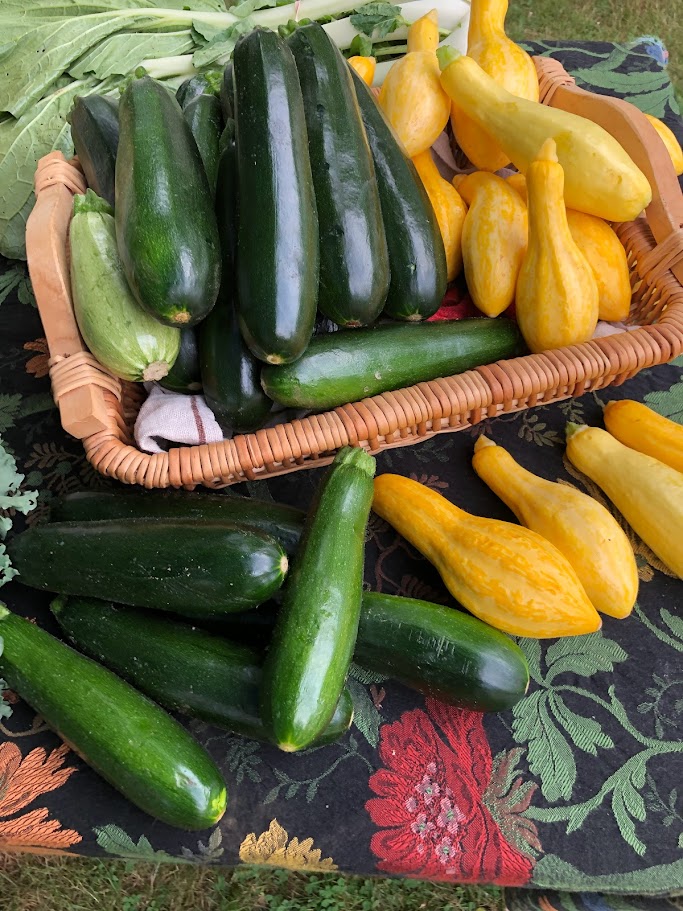 Summer Squash and Zucchini variety pack 4-pack