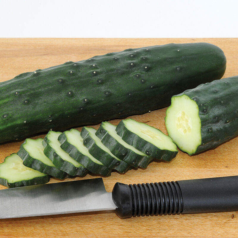 Cucumber 6-pack