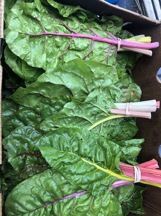 Donate $50 toward supporting a family in receiving produce