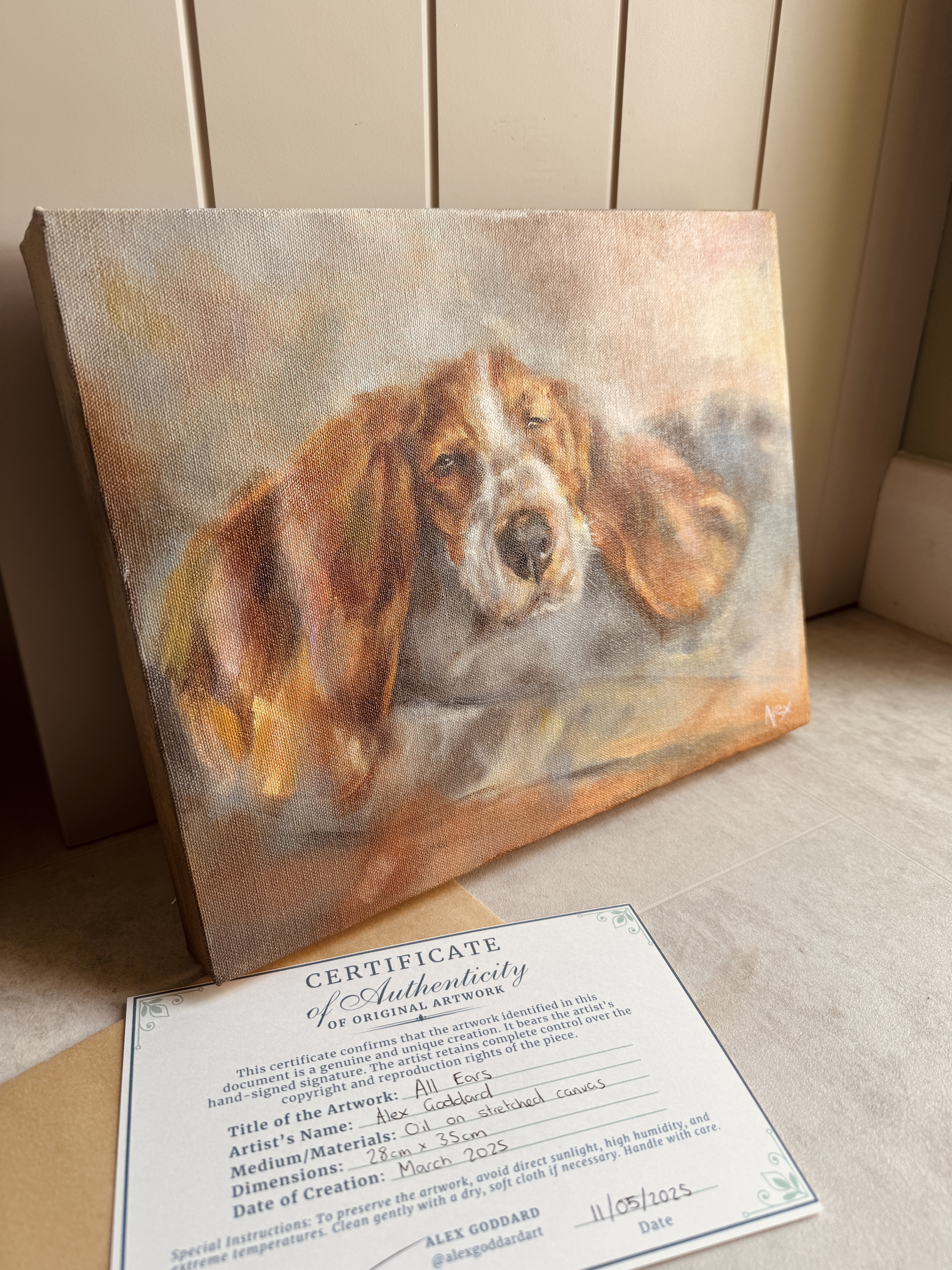 'All Ears' - Oil on canvas