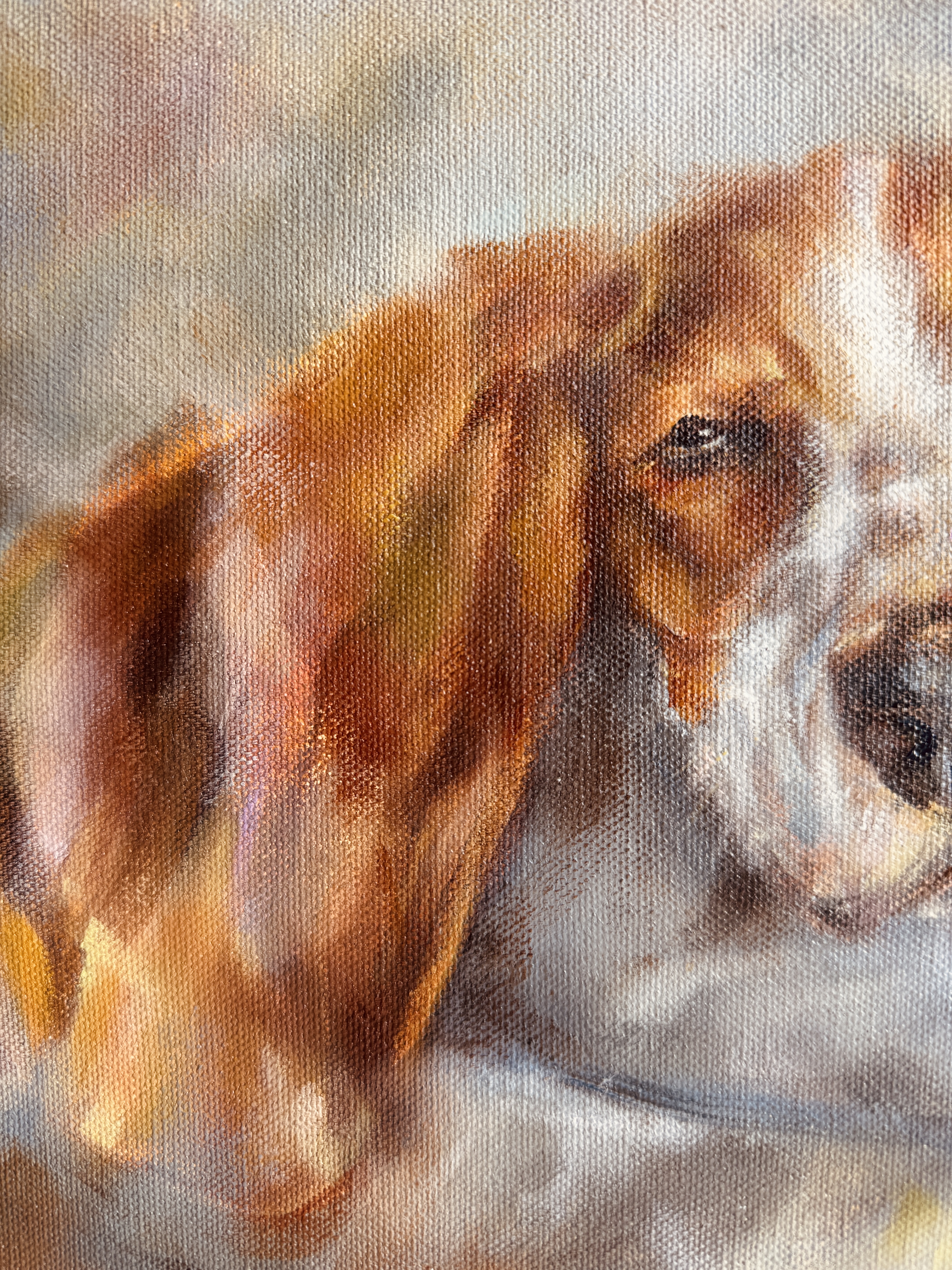 'All Ears' - Oil on canvas