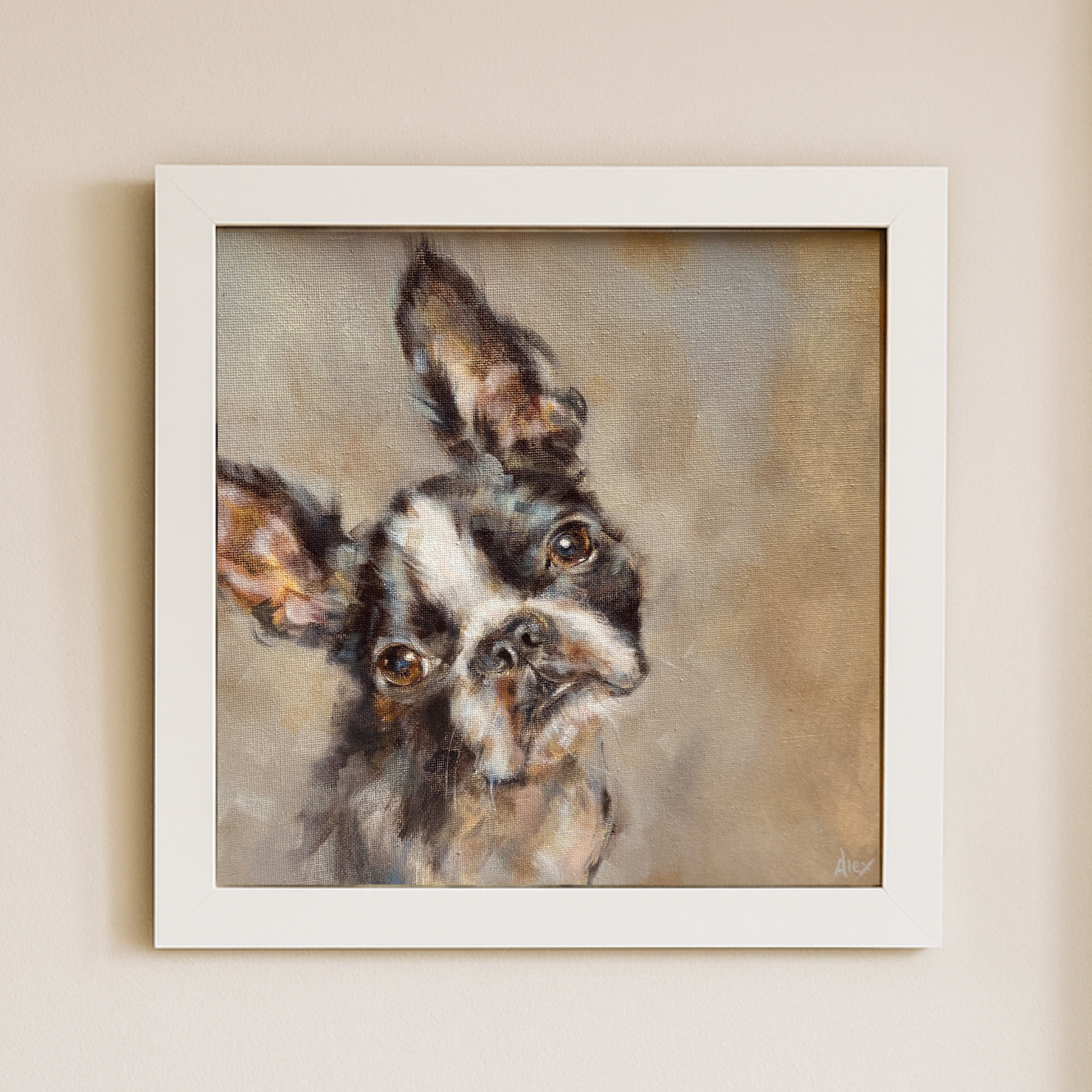 'Boston Terrier' - Original Oil Painting 