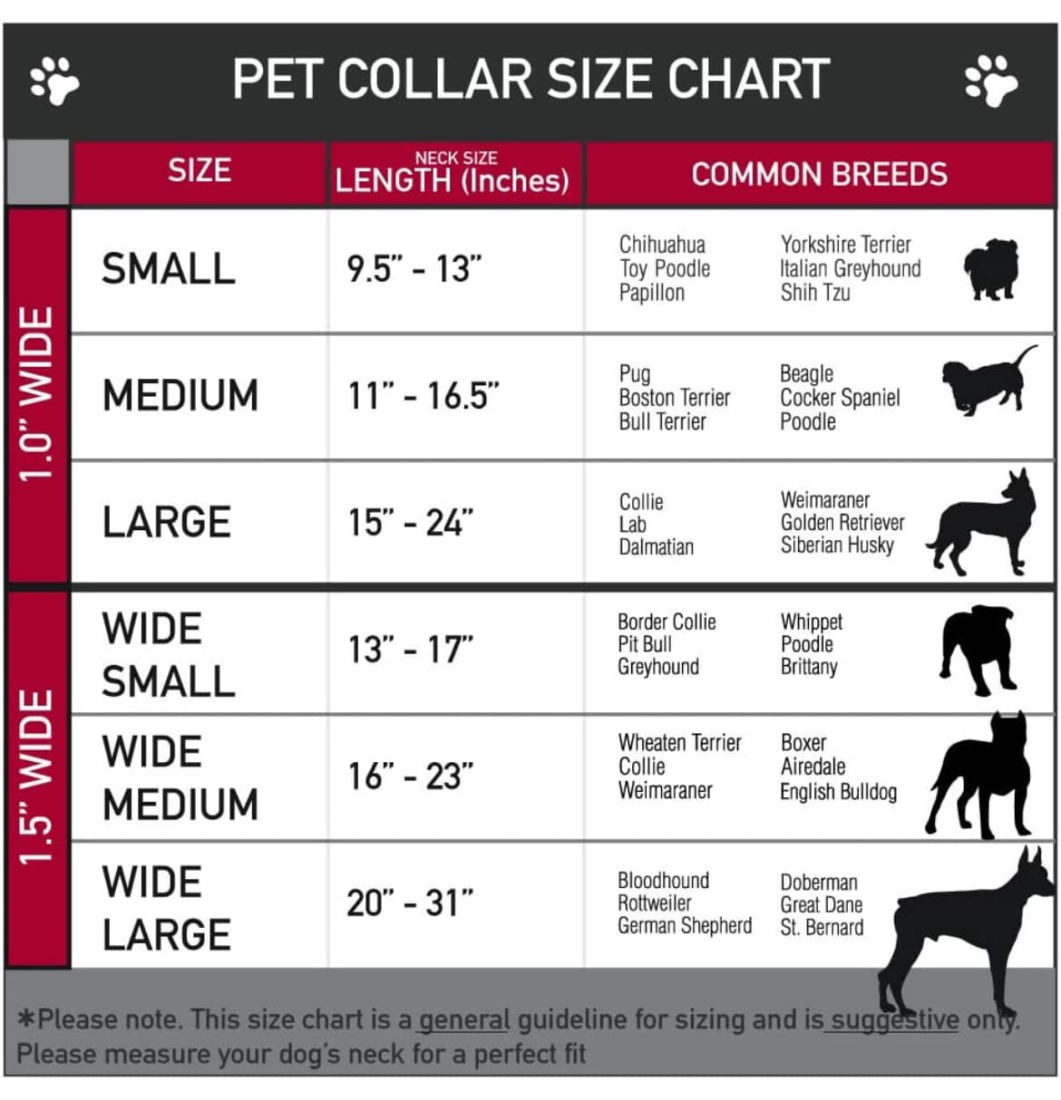 Collar para perro