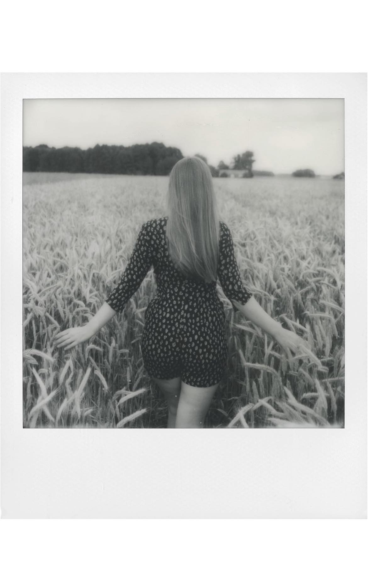 Papel Polaroid