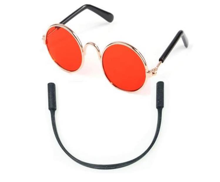 Gafas de sol para gatos