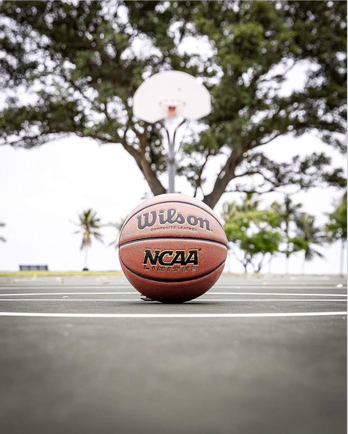 Balón Wilson NCAA Limited