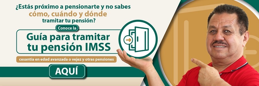 IMSS e ISSSTE