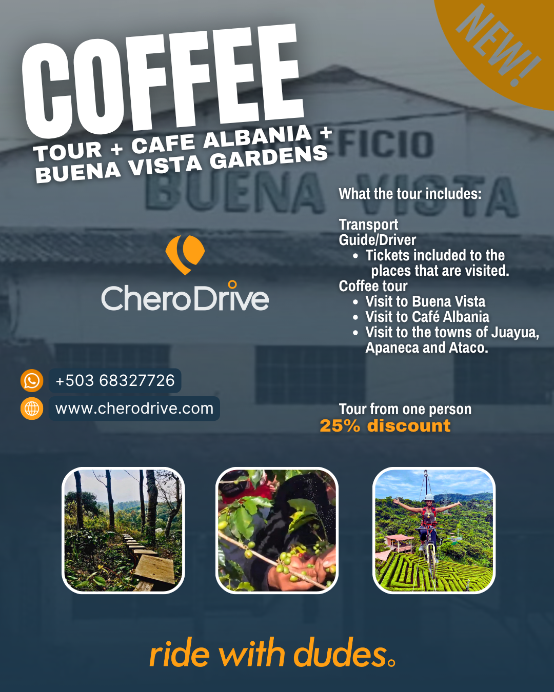 Coffee Tour Package