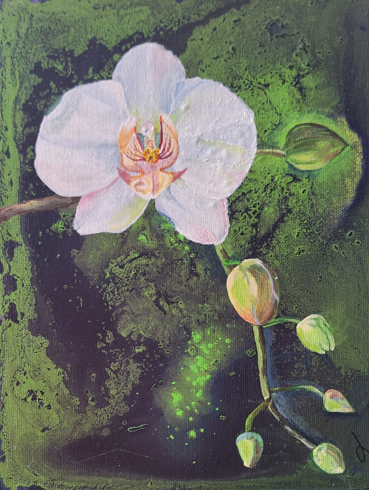 "Orquídeas del tiempo"