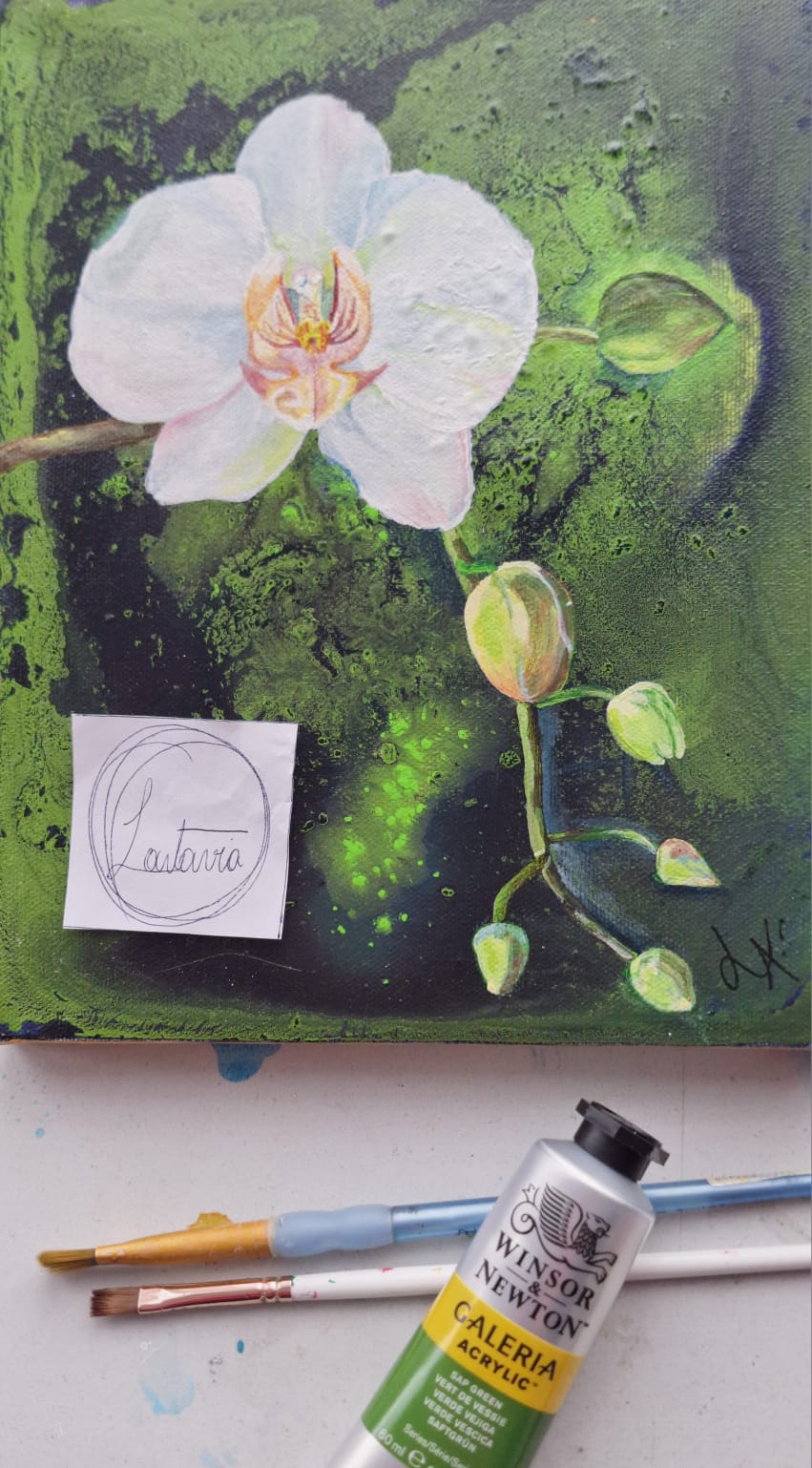 "Orquídeas del tiempo"