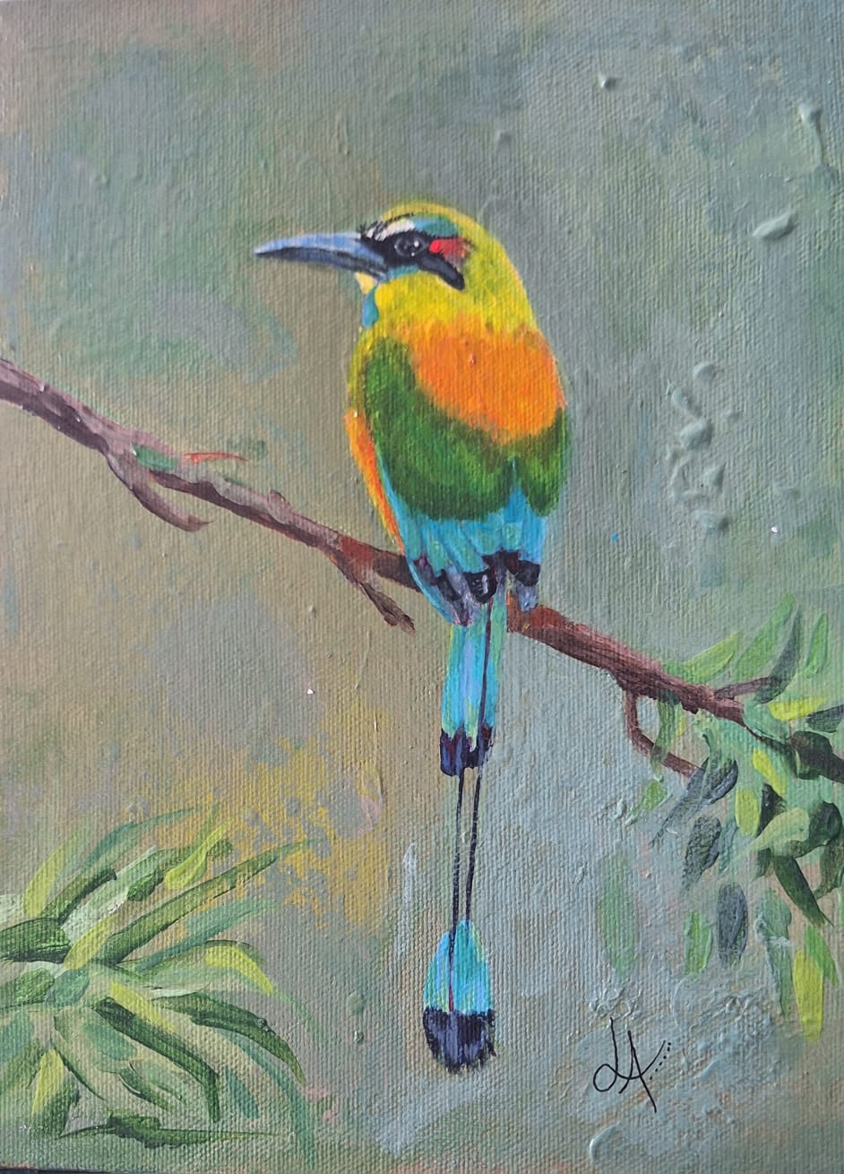 "Pájaro Toh"