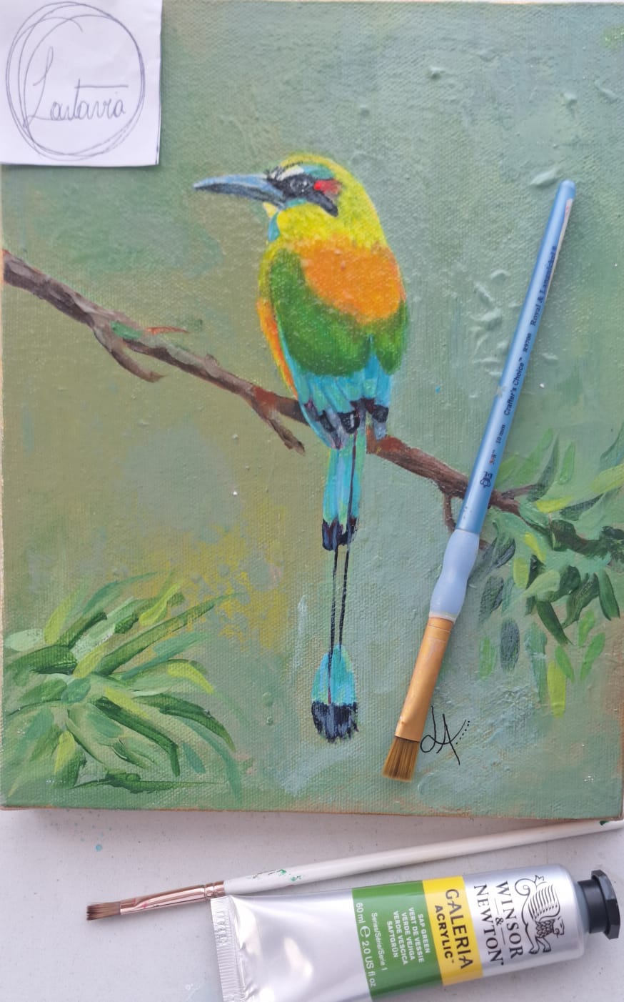 "Pájaro Toh"