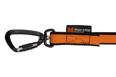 Bungee leash