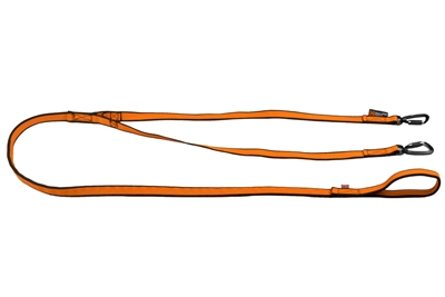 Bungee leash double
