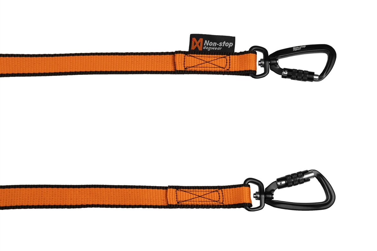 Bungee leash double