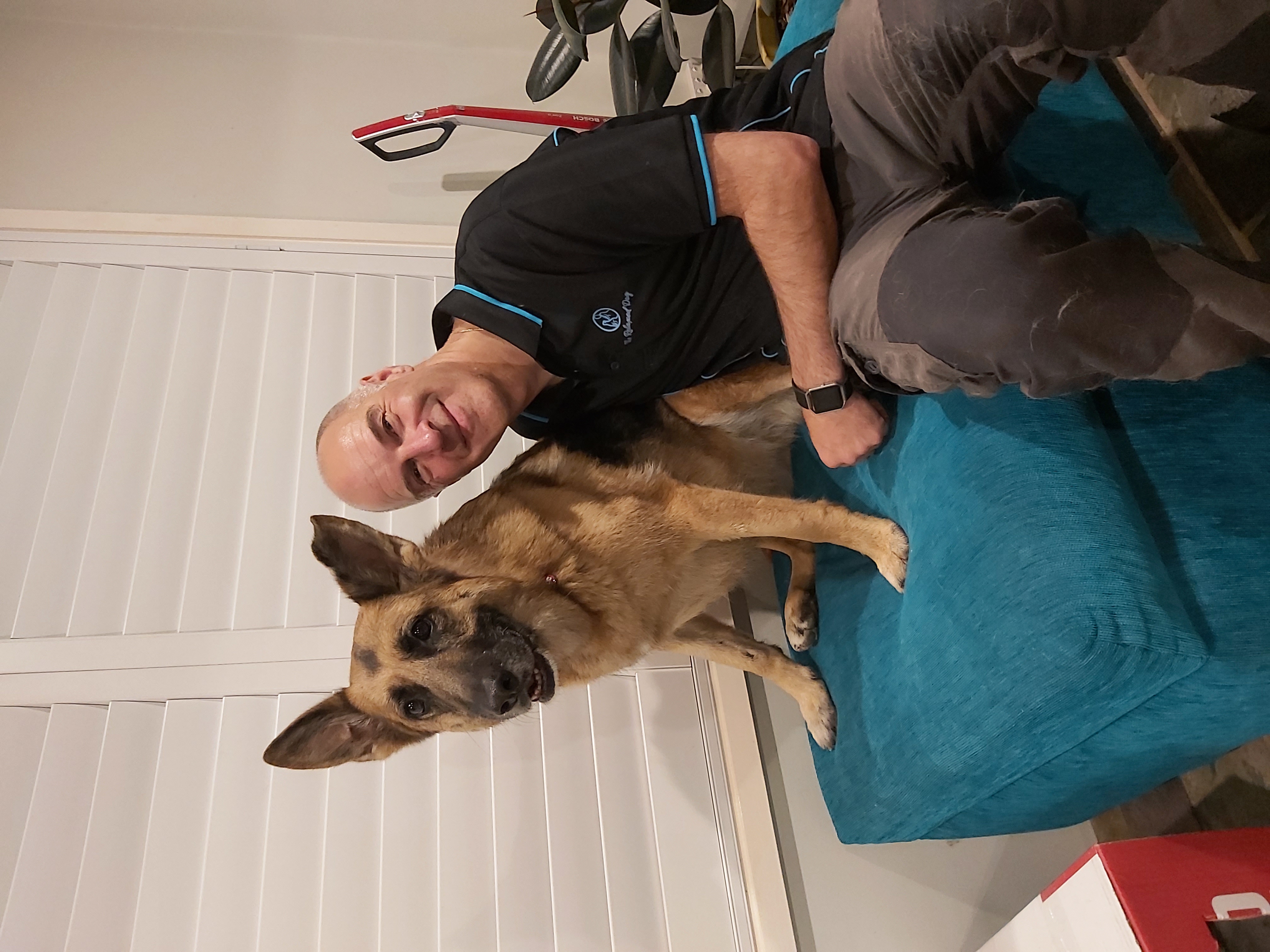 Canine Remedial Massage