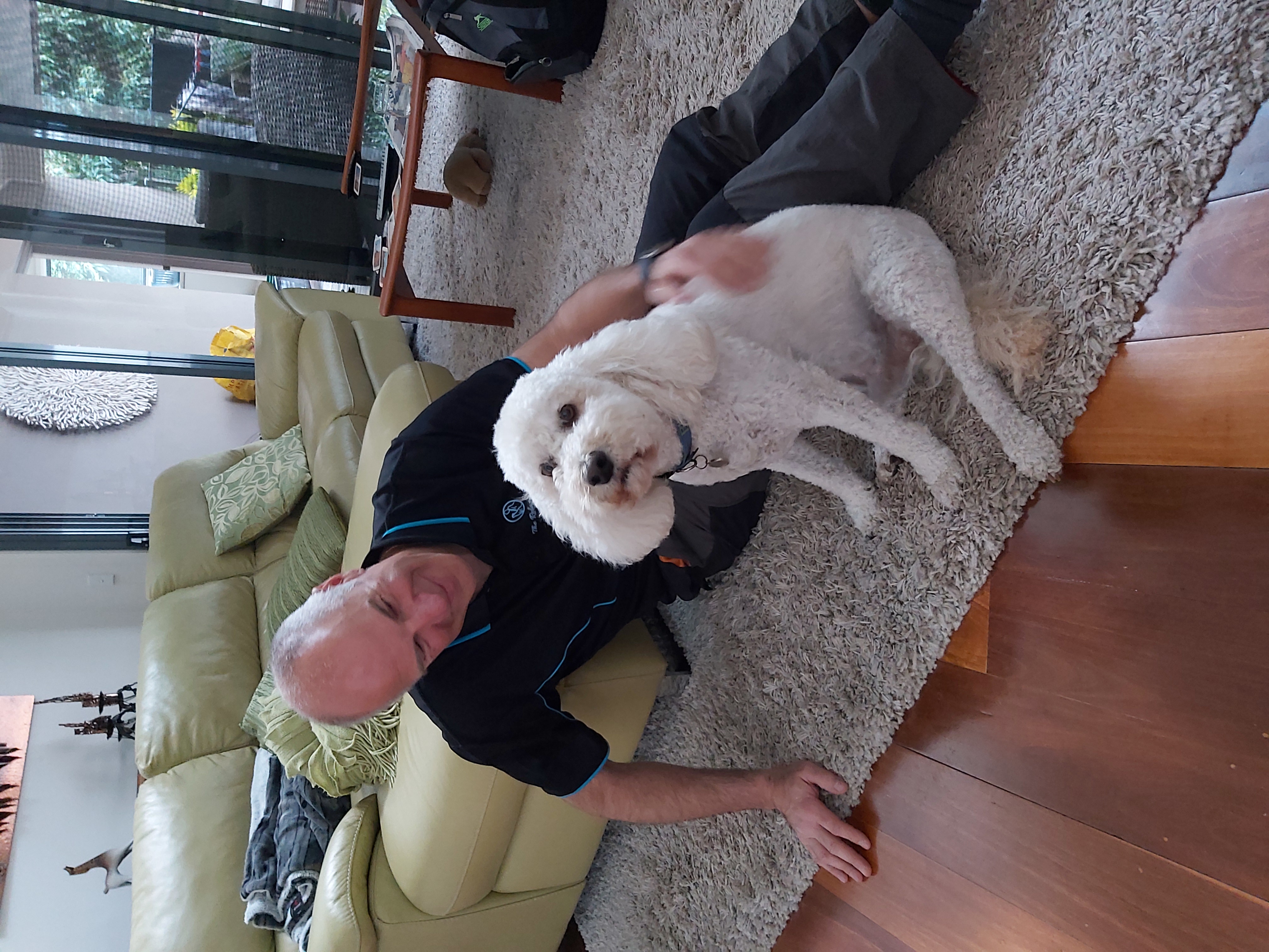 Canine Reiki