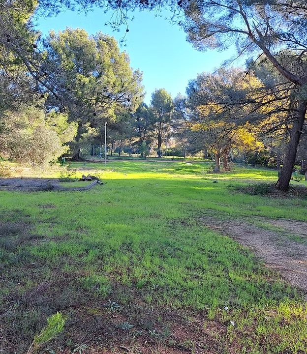 05 . Lucques Terrain la Cadière d'Azur 83740