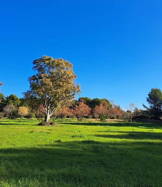 08. La Sabine Terrain la Cadiere d'Azur 83740