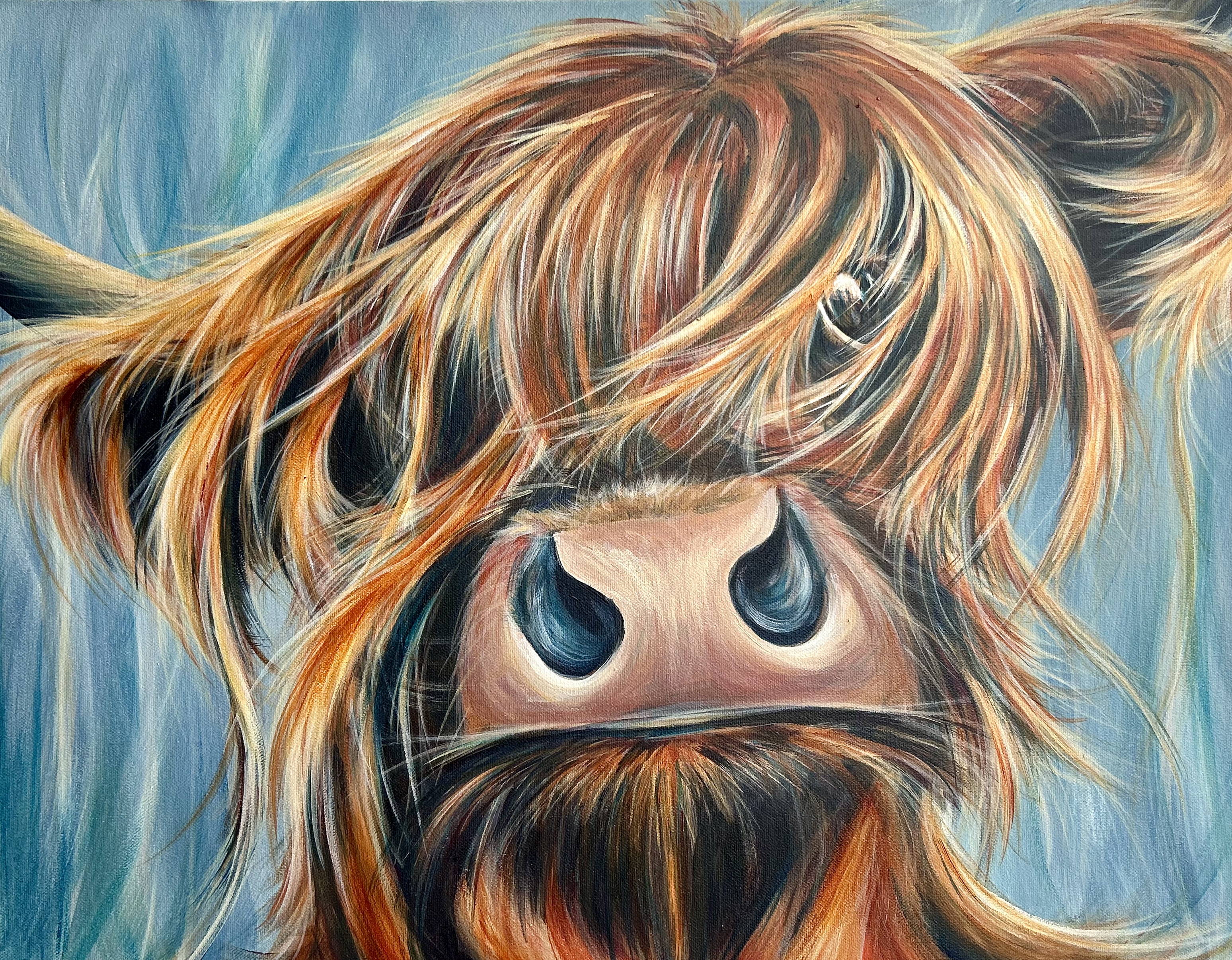 Otis the Hayling Highlander