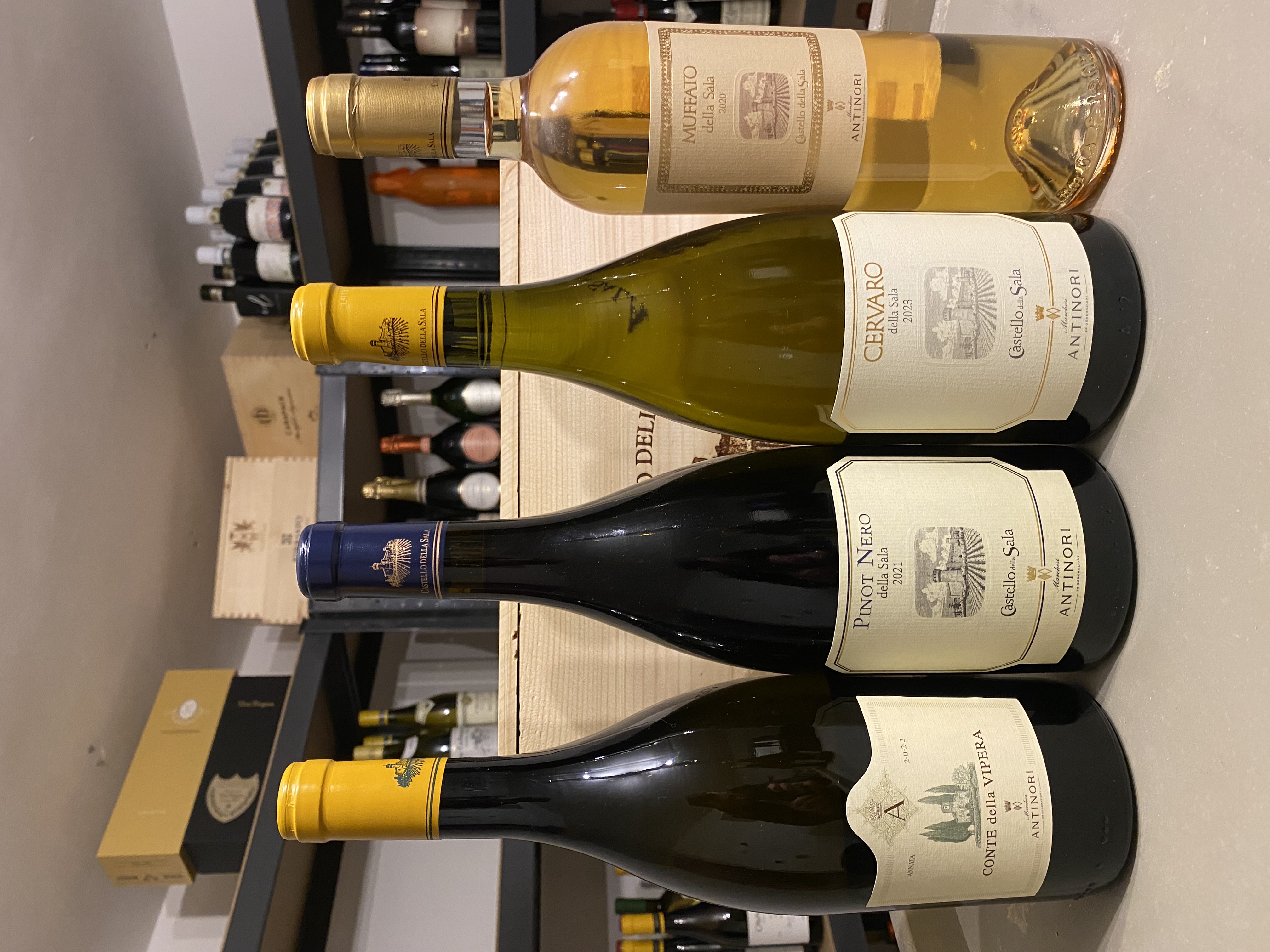 Tasting Box - Castello della Sala - Marchesi Antinori