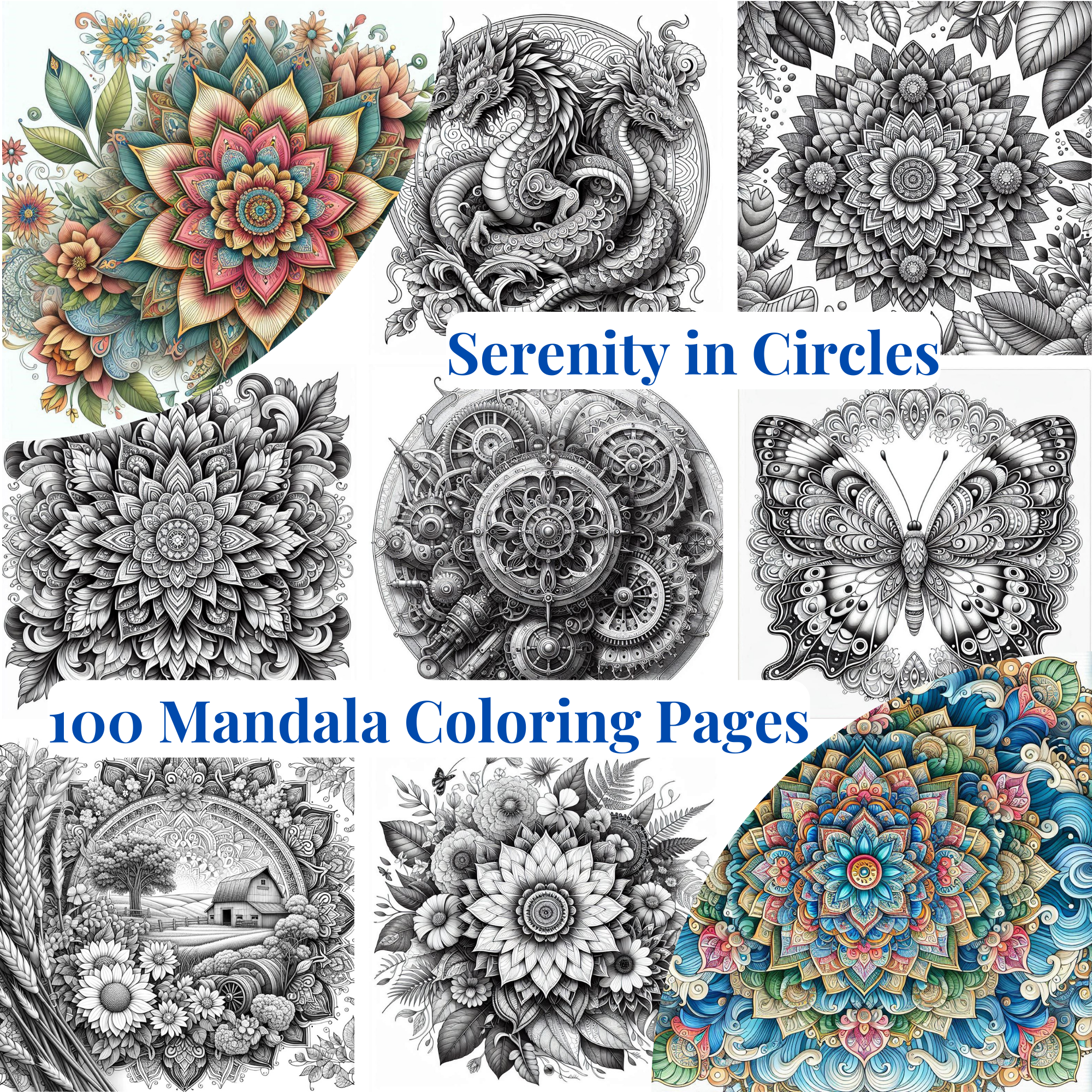Serenity in Circles Coloring Pages PDF Digital Download